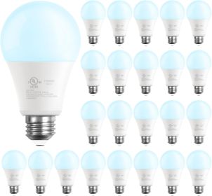LED Light Bulbs, 60 Watt Equivalent LED Bulbs, Long Lifespan High Brightness 800LM Daylight White 5000K